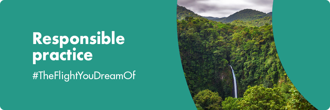 Trips that leave no trace - Iberojet