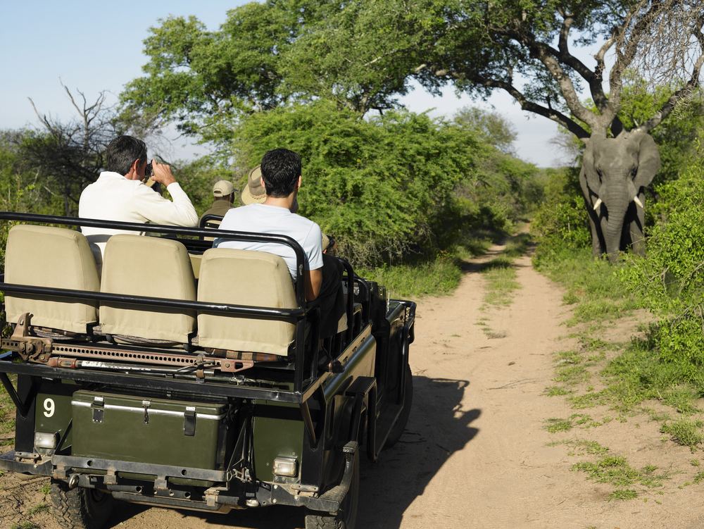 Safari en el Parque Kruger