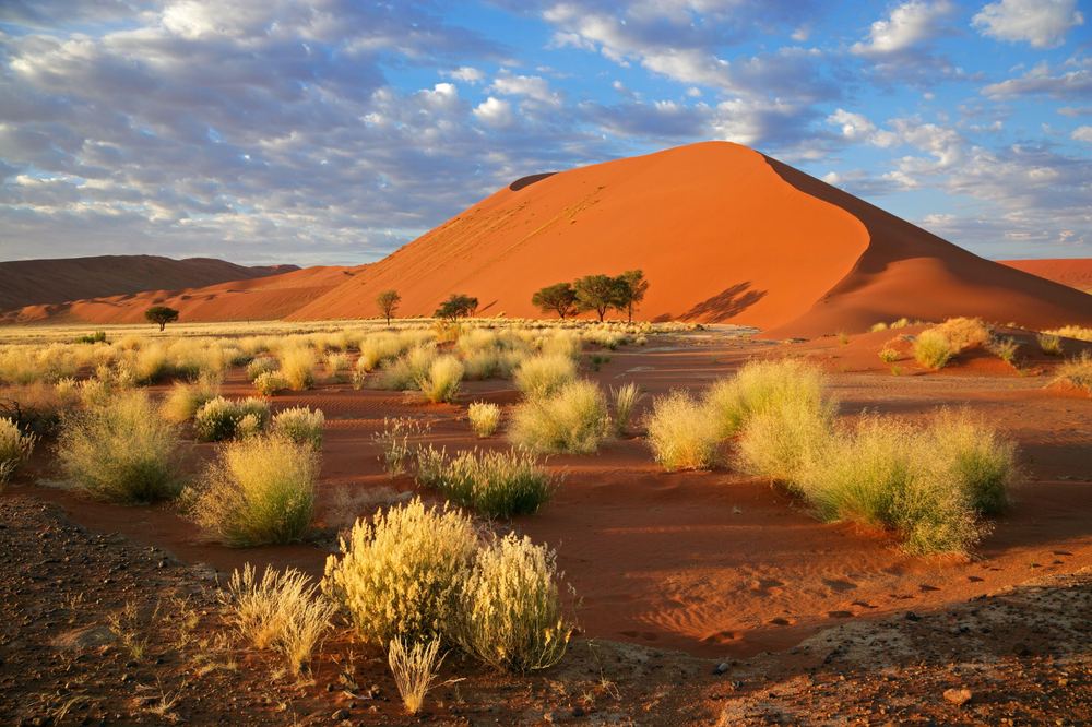 Desierto del Namib