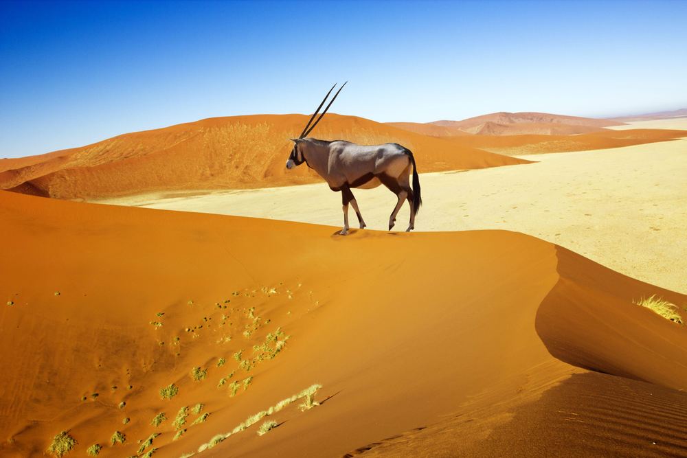 Dunas de Sossusvlei
