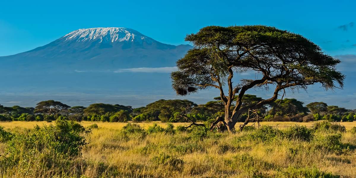 Descubra Parque Nacional De Amboseli Na Sua Viagem A Kenia