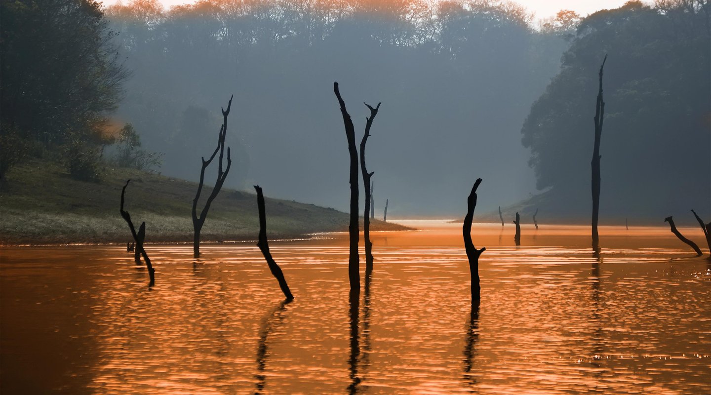 La Magia de Kerala