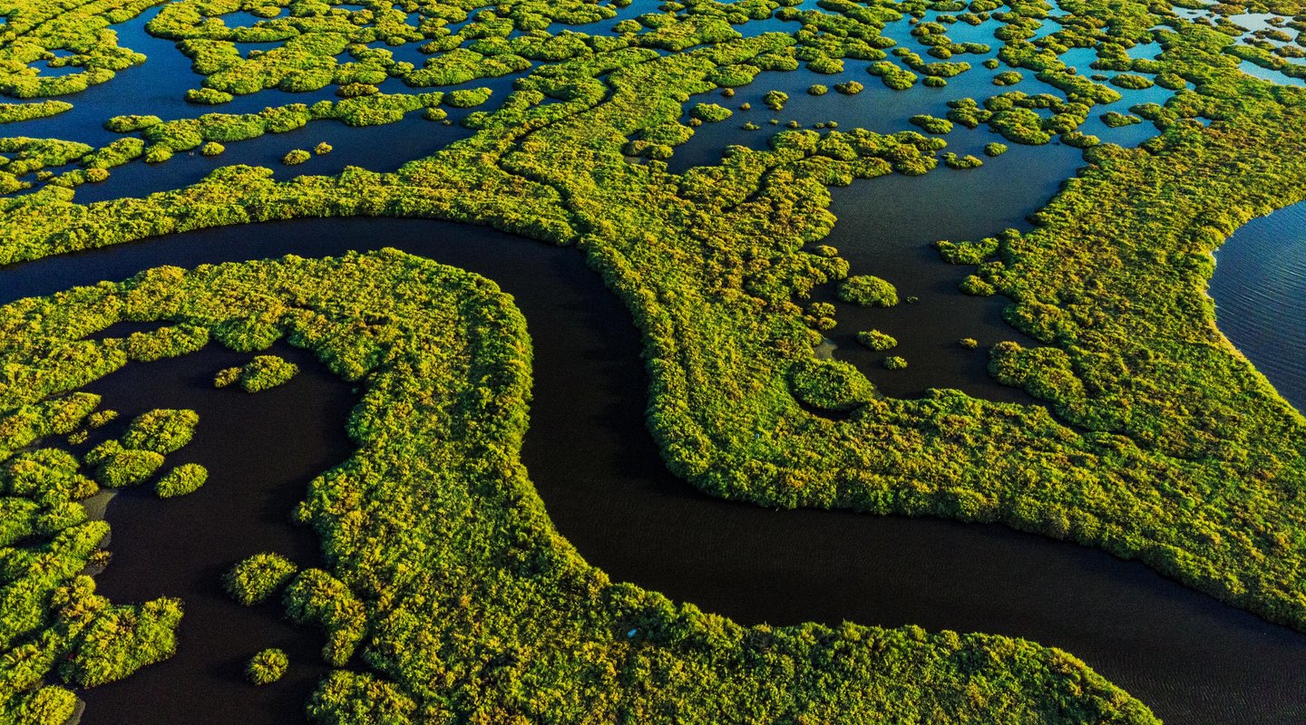 Naturaleza Pura en Brasil