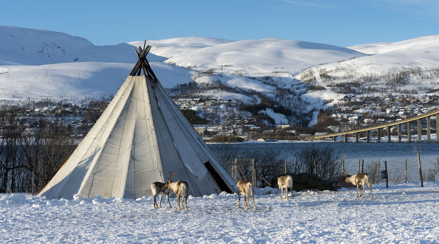 Leyendas de Invierno en Laponia