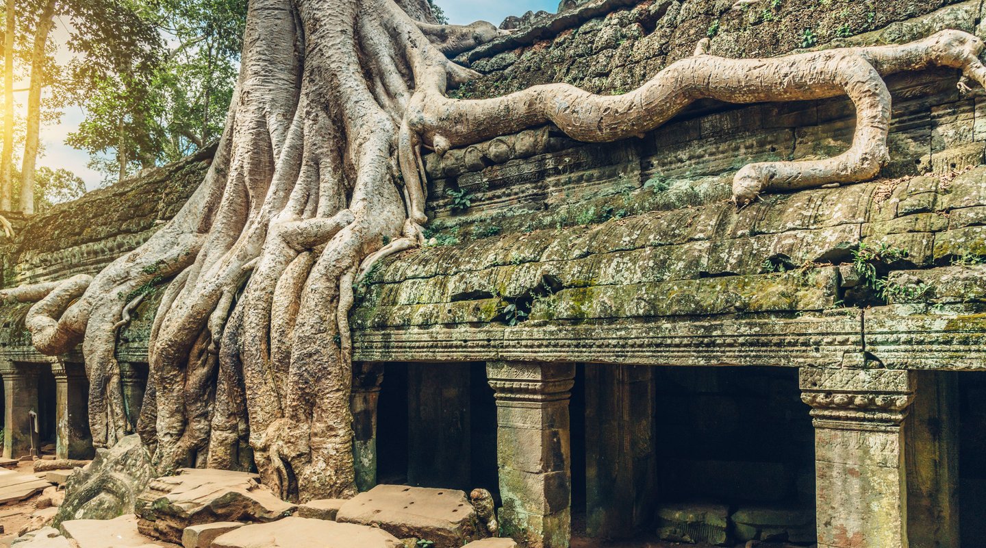 Esencias de Vietnam y Camboya