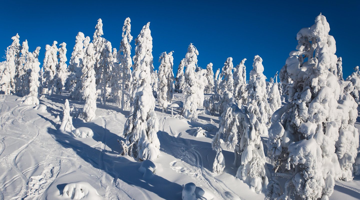 Leyendas de Invierno en Laponia