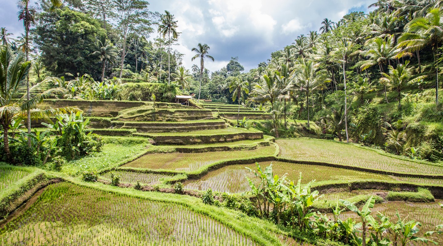Joyas de Tailandia y Bali