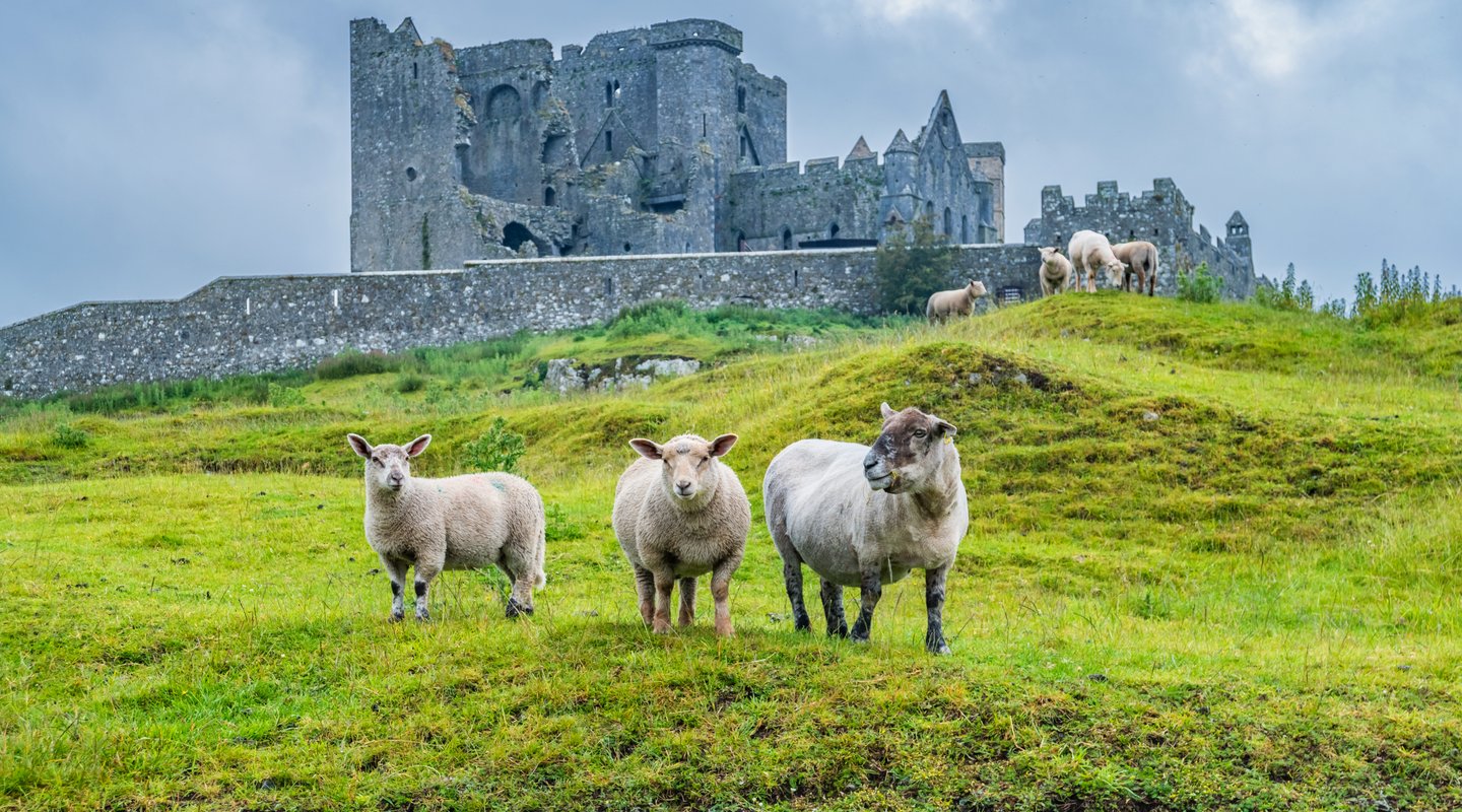 Irlanda Tradicional
