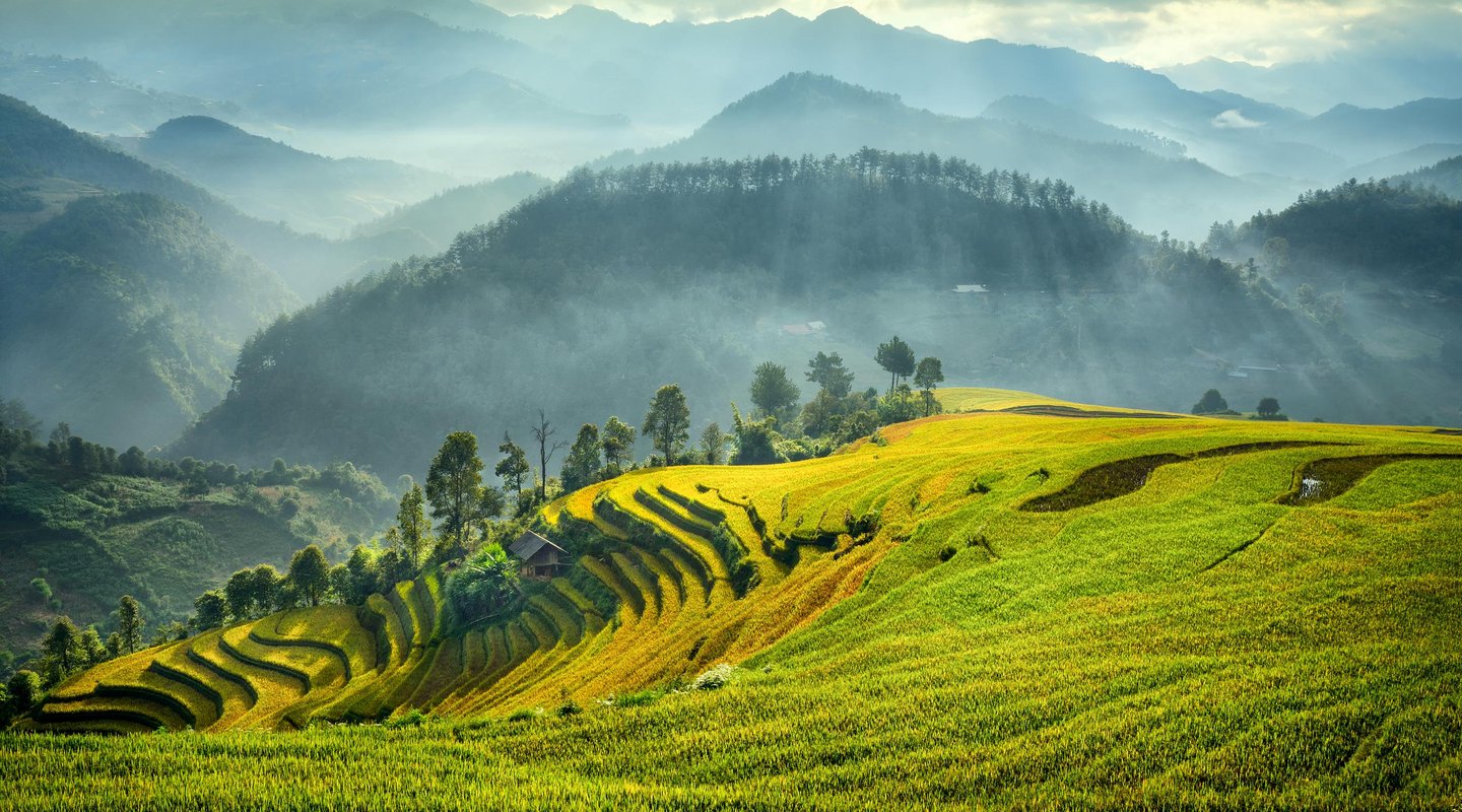 Vietnam, Especial Temporada de Arrozales