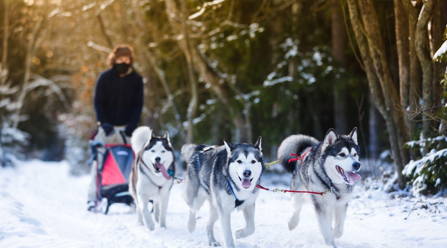 Especial Pre - Puente en Rovaniemi: Hotel Santa Claus Holiday Village