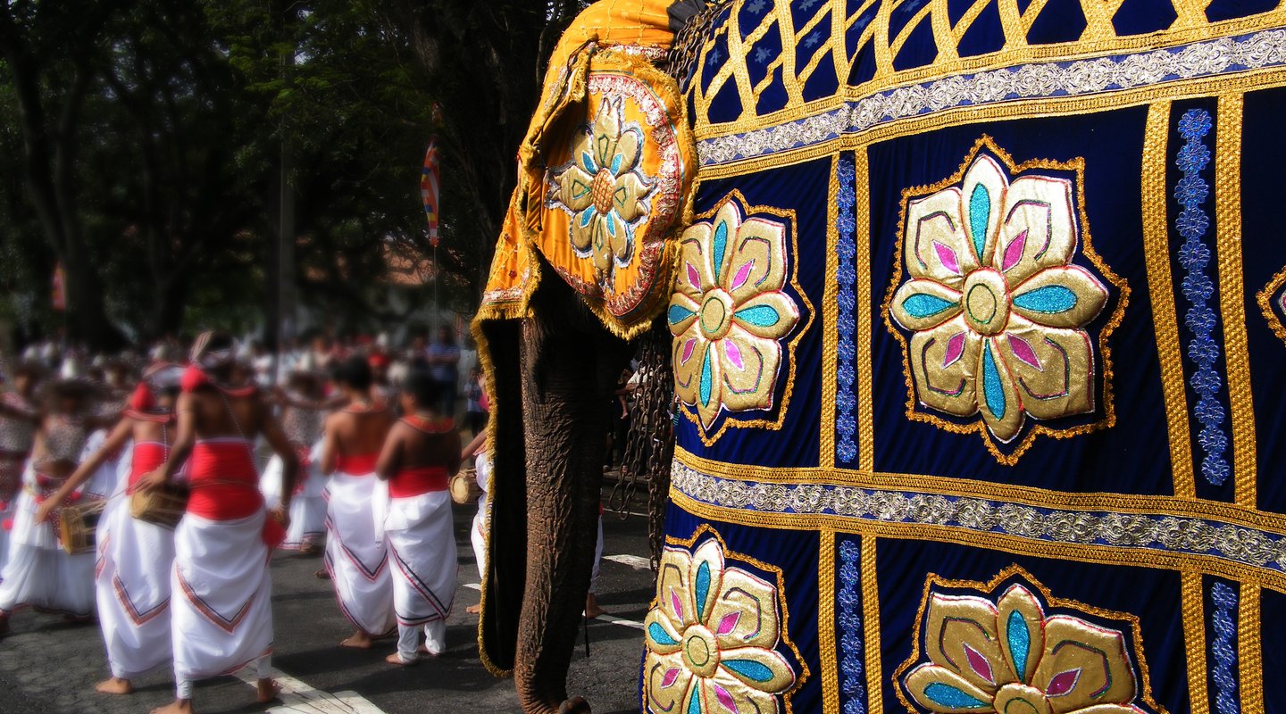 Especial Semana Santa: Gran Tour de Sri Lanka