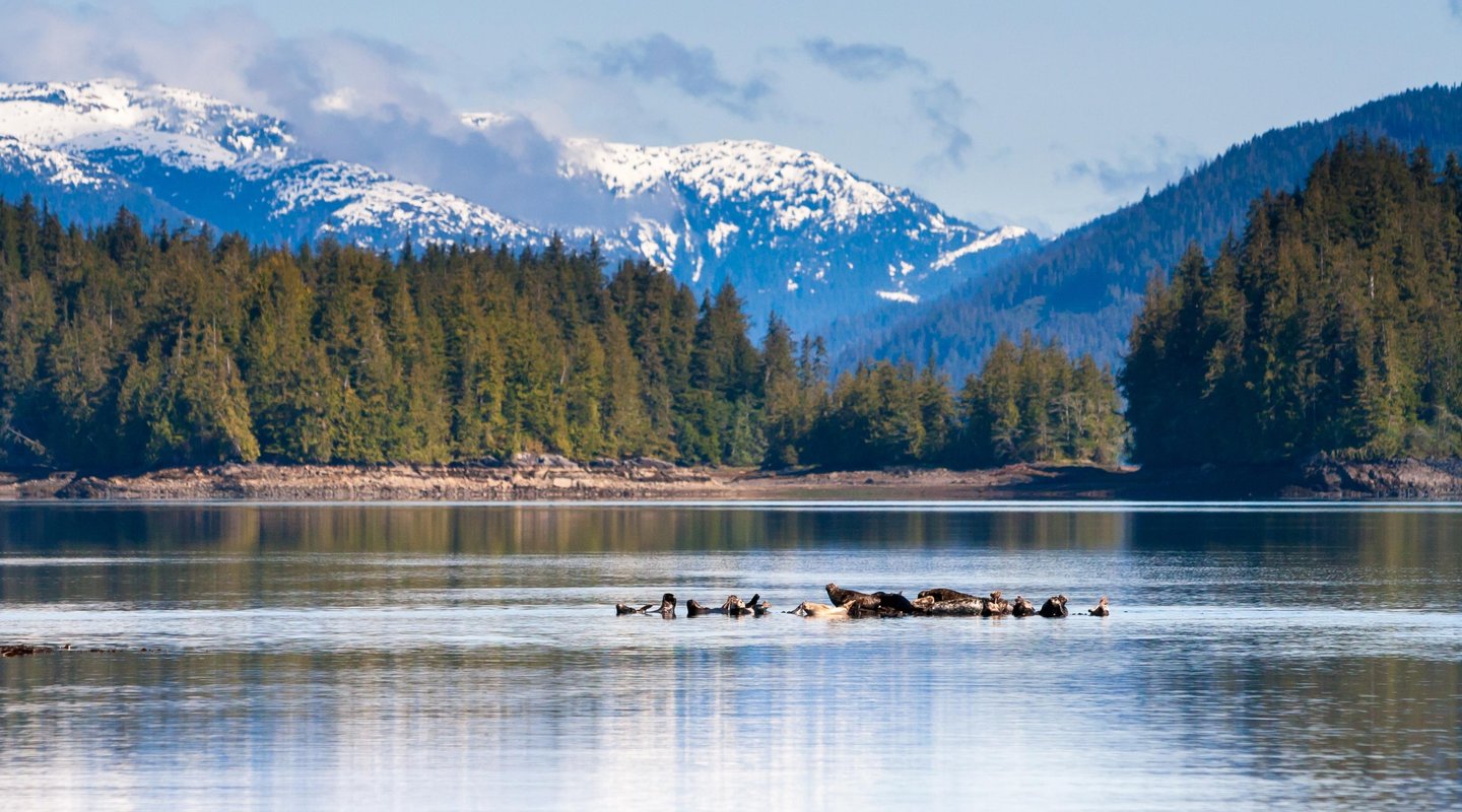 Especial Salidas en Castellano: Paisaje Interior en Alaska