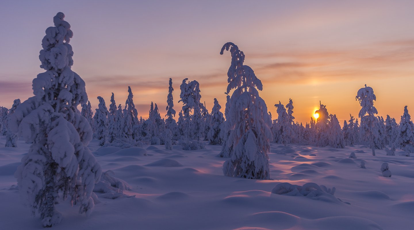 Especial Pre-Puente de Diciembre en Salla
