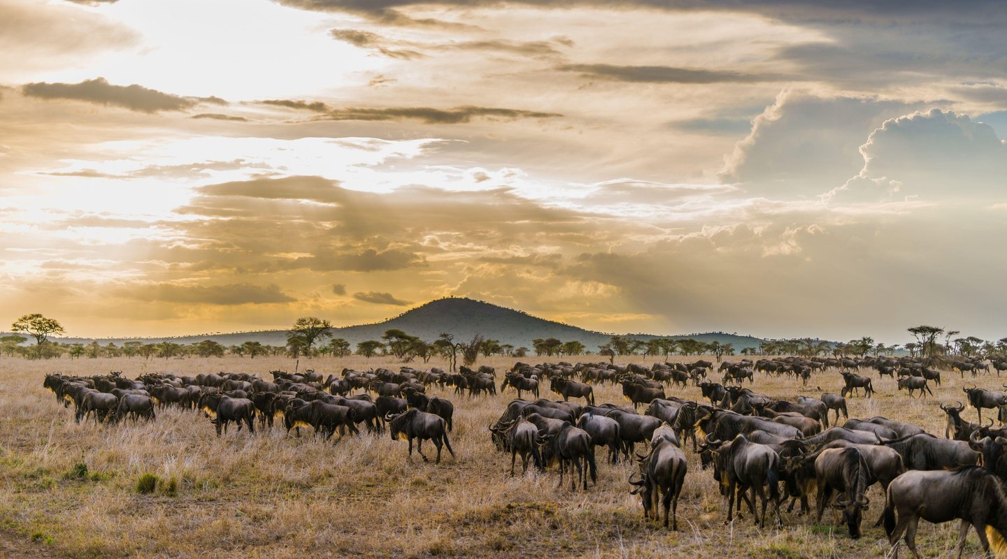 Encantos de Kenia y Tanzania
