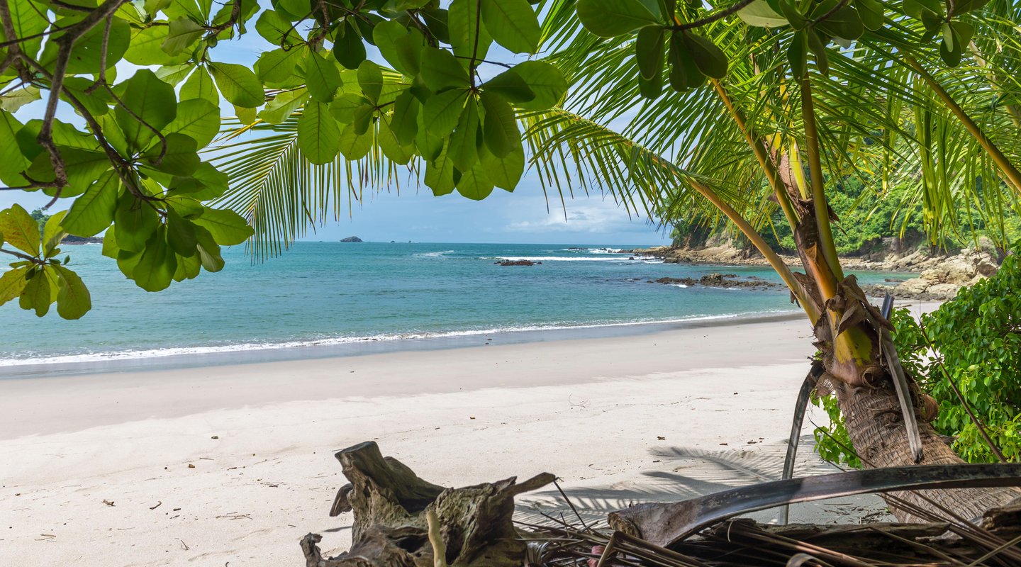 De Nueva York a Costa Rica