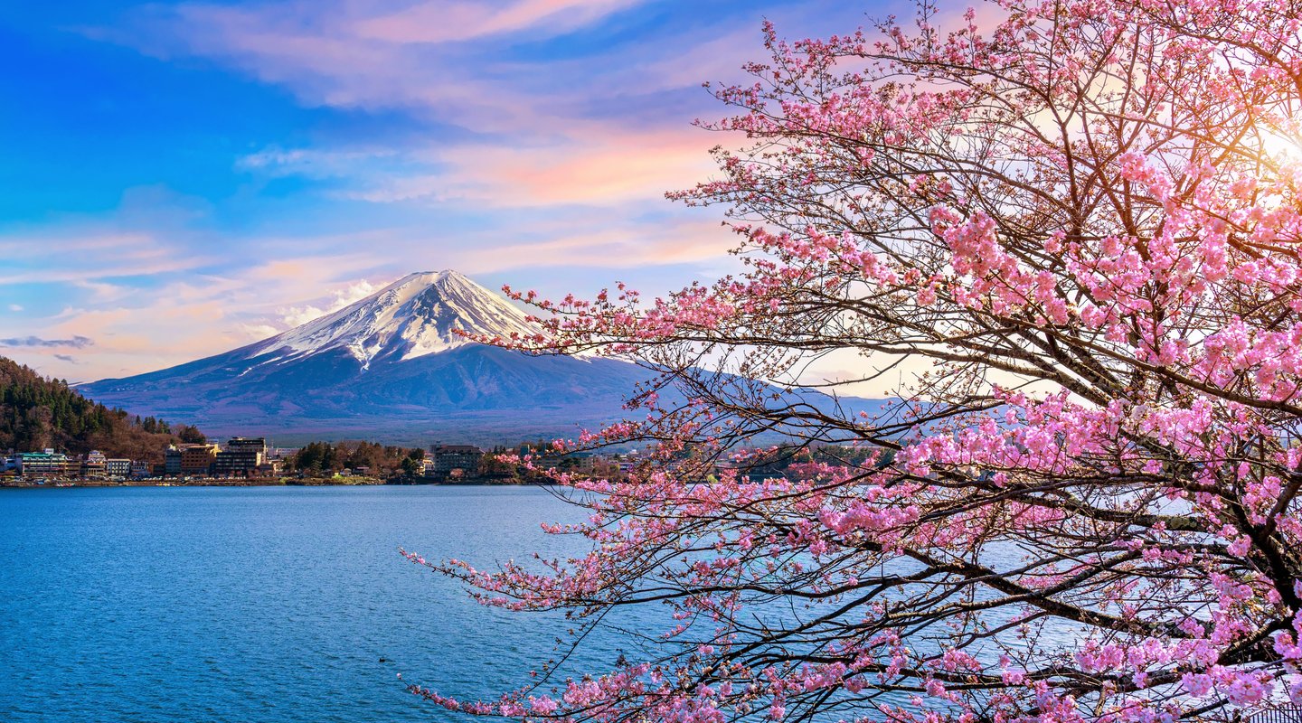 Primavera en Japón