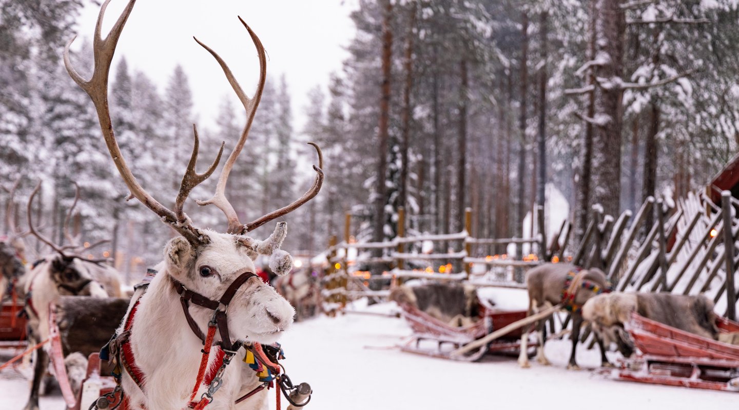 Especial Pre-Puente de Diciembre en Levi: Northern Lights Village