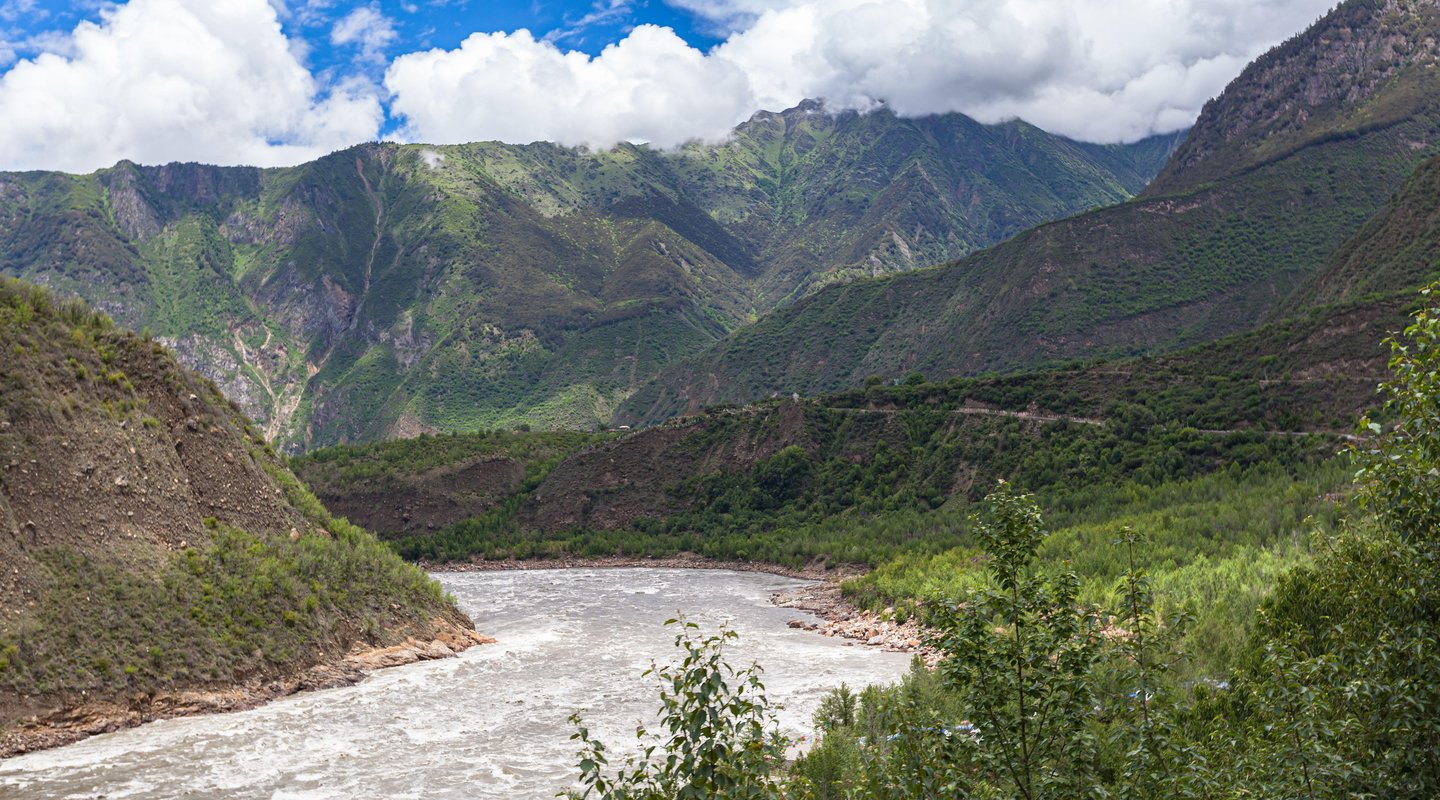 Rinocerontes y tigres de Kaziranga