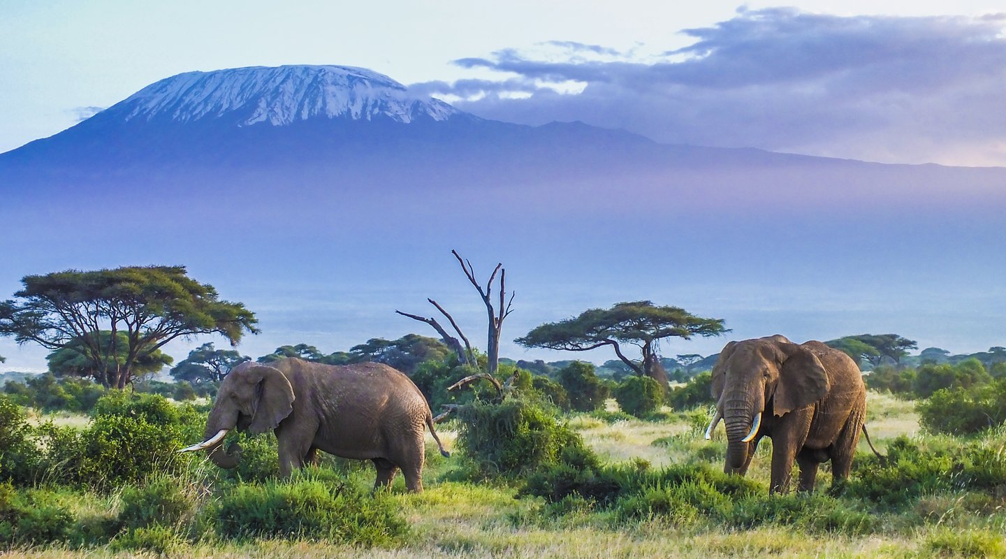 Descubra Parque Nacional De Amboseli Na Sua Viagem A Kenia