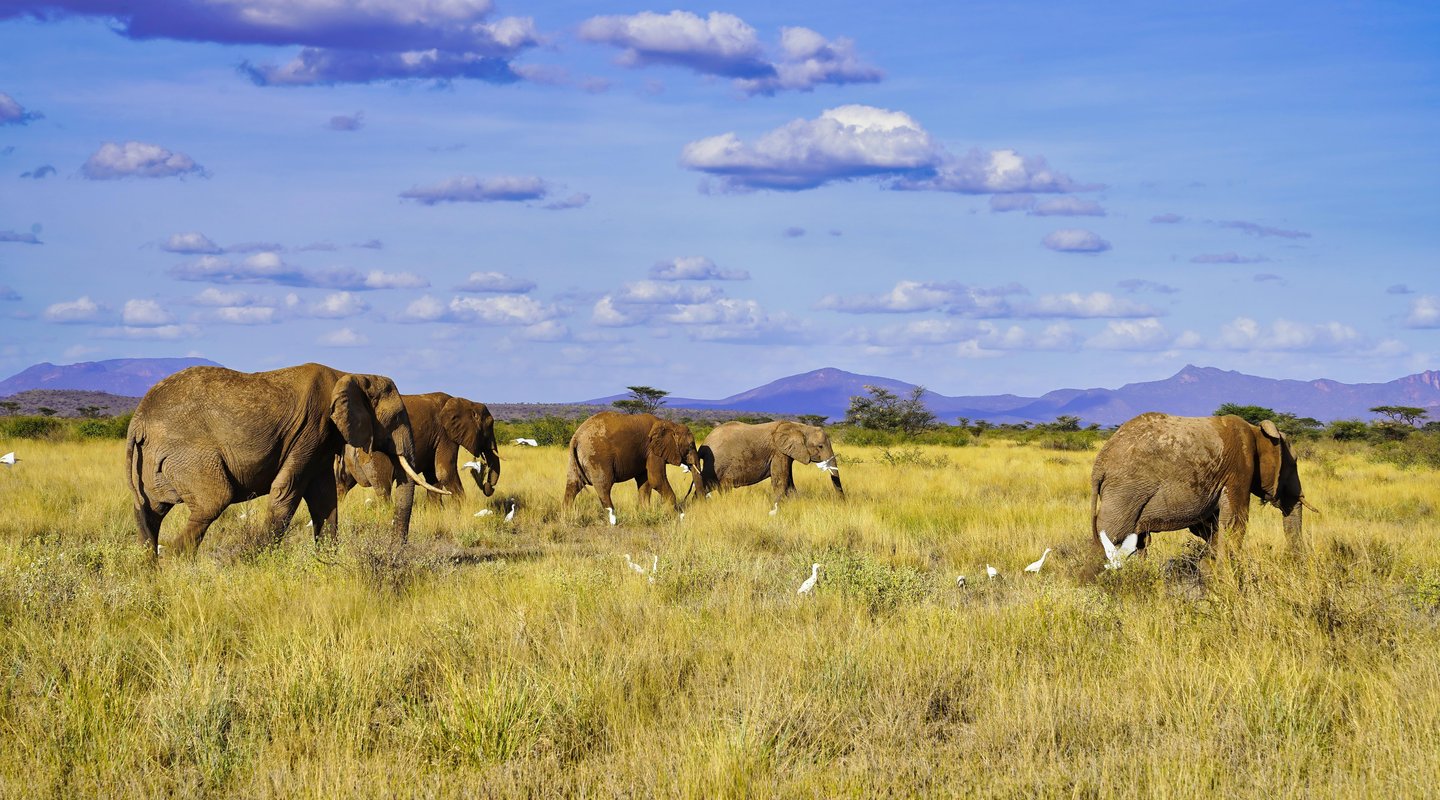 Paisajes de Kenia
