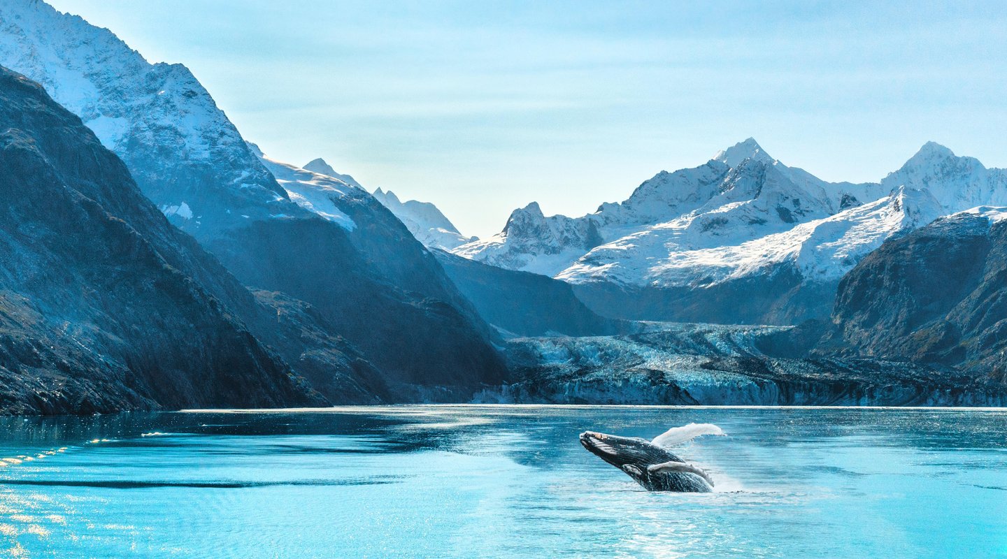 Gran Norte y Crucero por Alaska