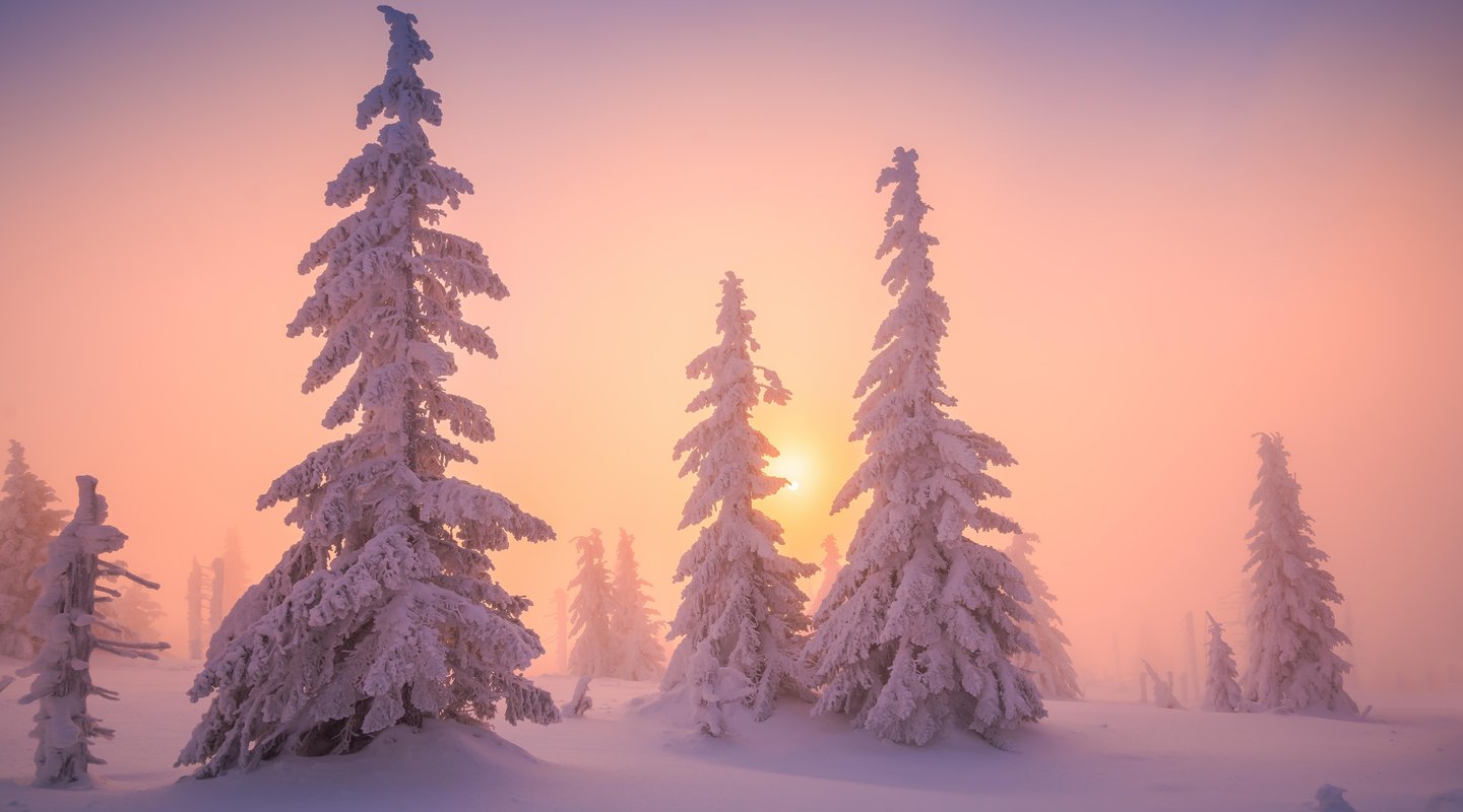 Especial Puente de Diciembre en Cabañas Family Premium