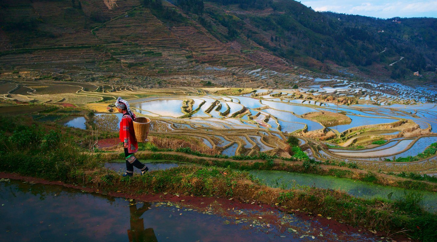 Yunnan - Etnias, Aldeas y Arrozales