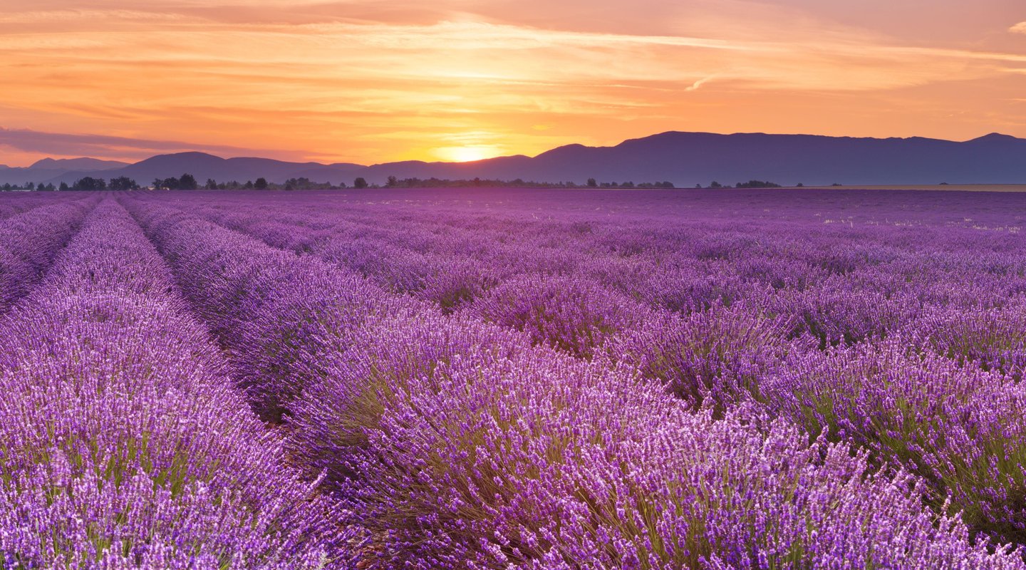 Provenza y Costa Azul