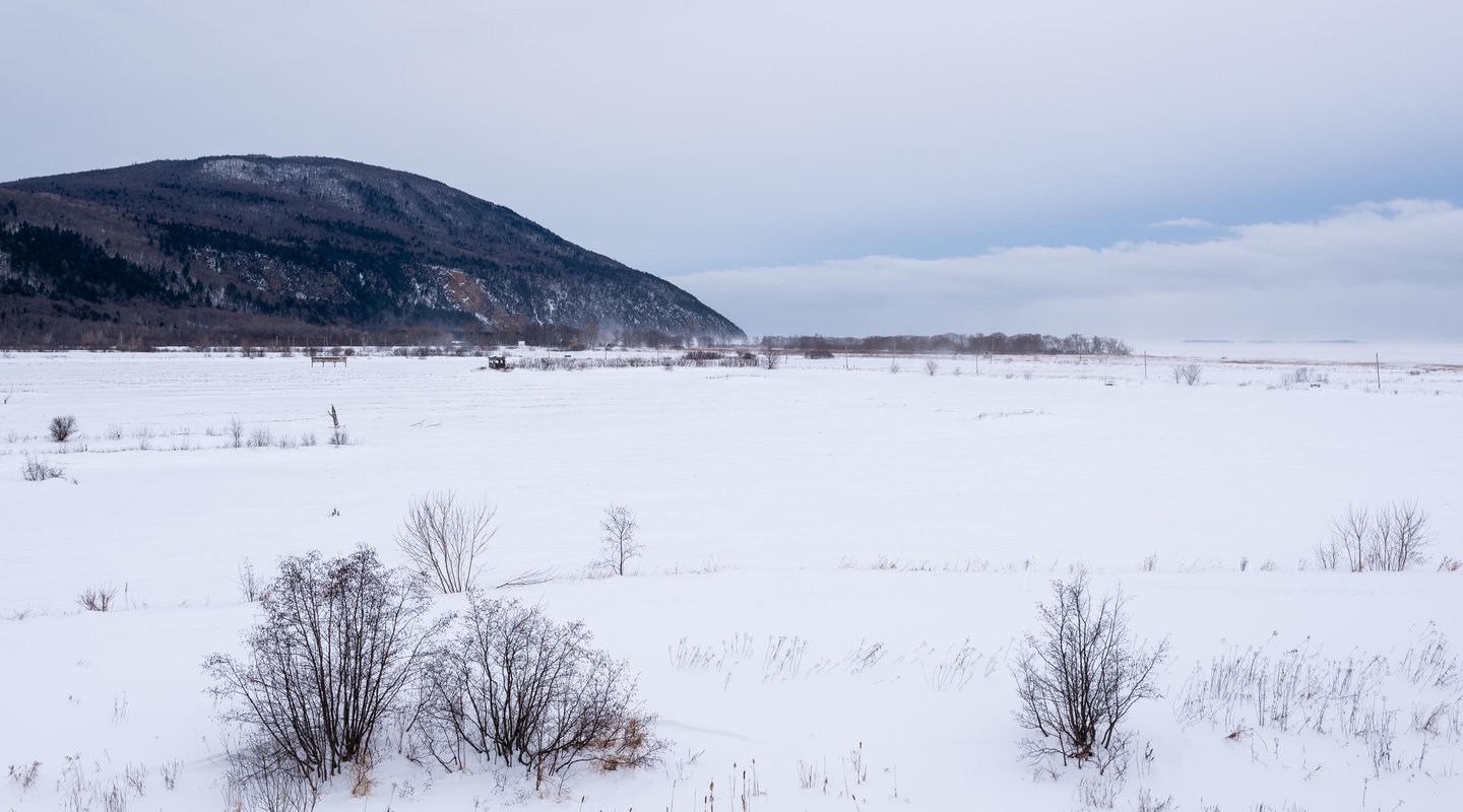 Especial Fin de Año: Invierno en el Este Canadiense