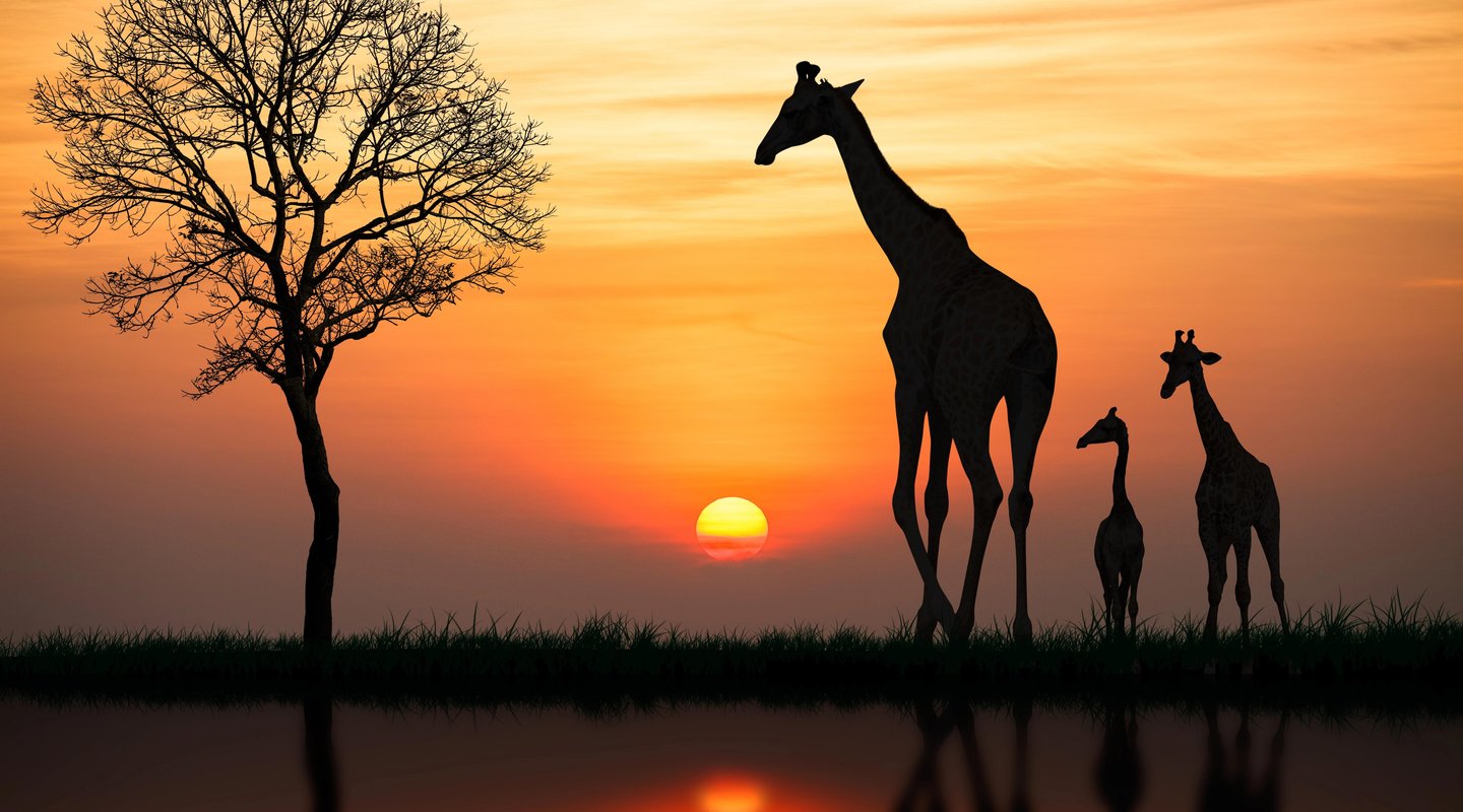 Sudáfrica al Completo