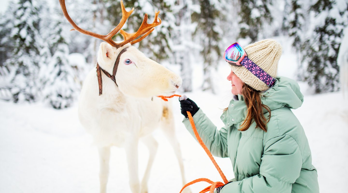 Especial Puente de Diciembre en Muotka