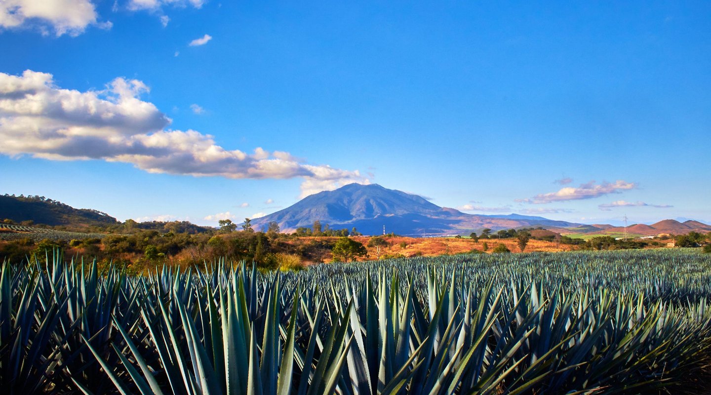 Vive Riviera Nayarit