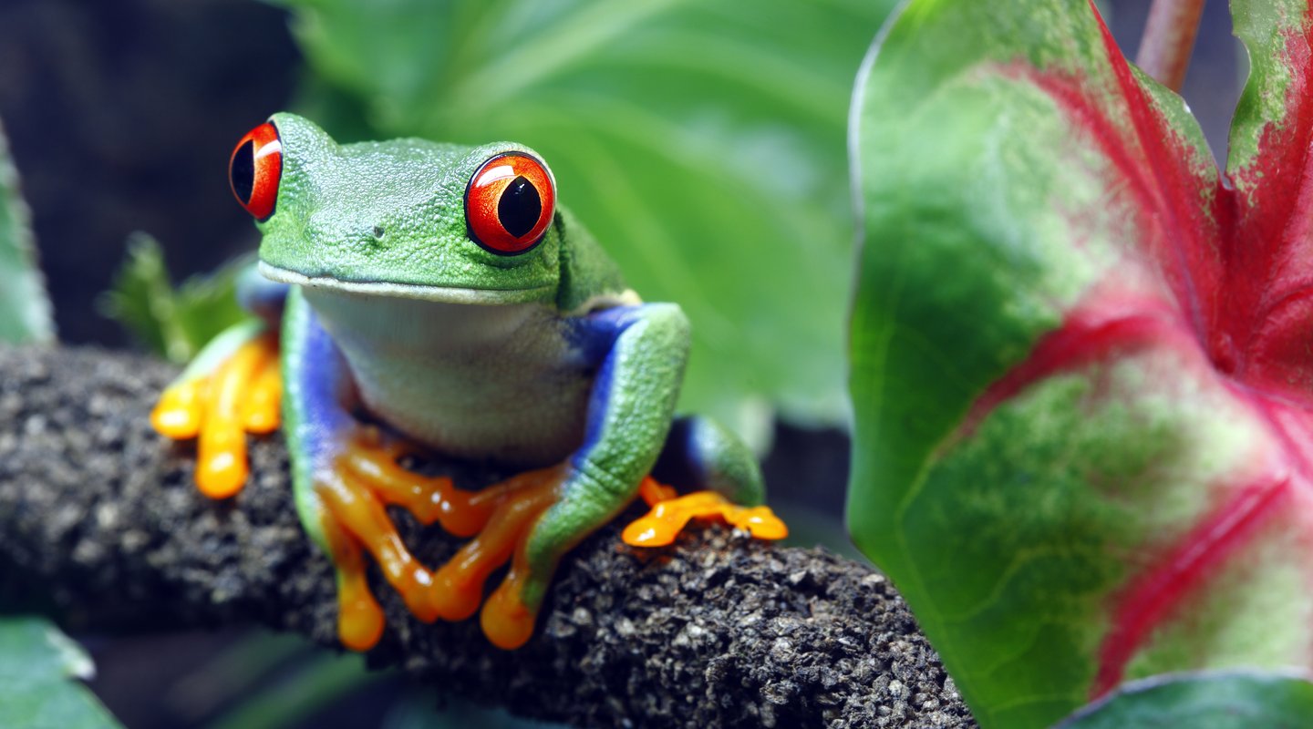 Especial Semana Santa: Costa Rica Esencial