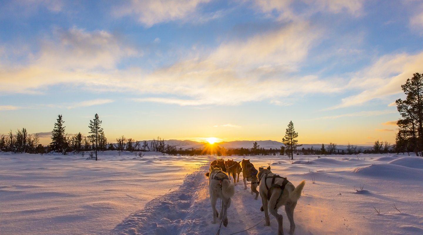 Especial Pre - Puente de Diciembre en Kuusamo: Holiday Club  Tropiikki