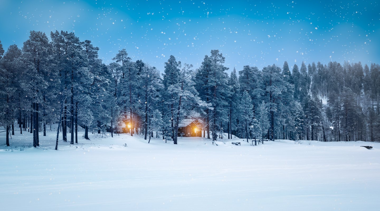 Puente de Diciembre: Wilderness Inari