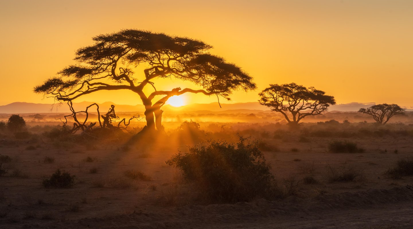 Kenia a Vista de Pájaro