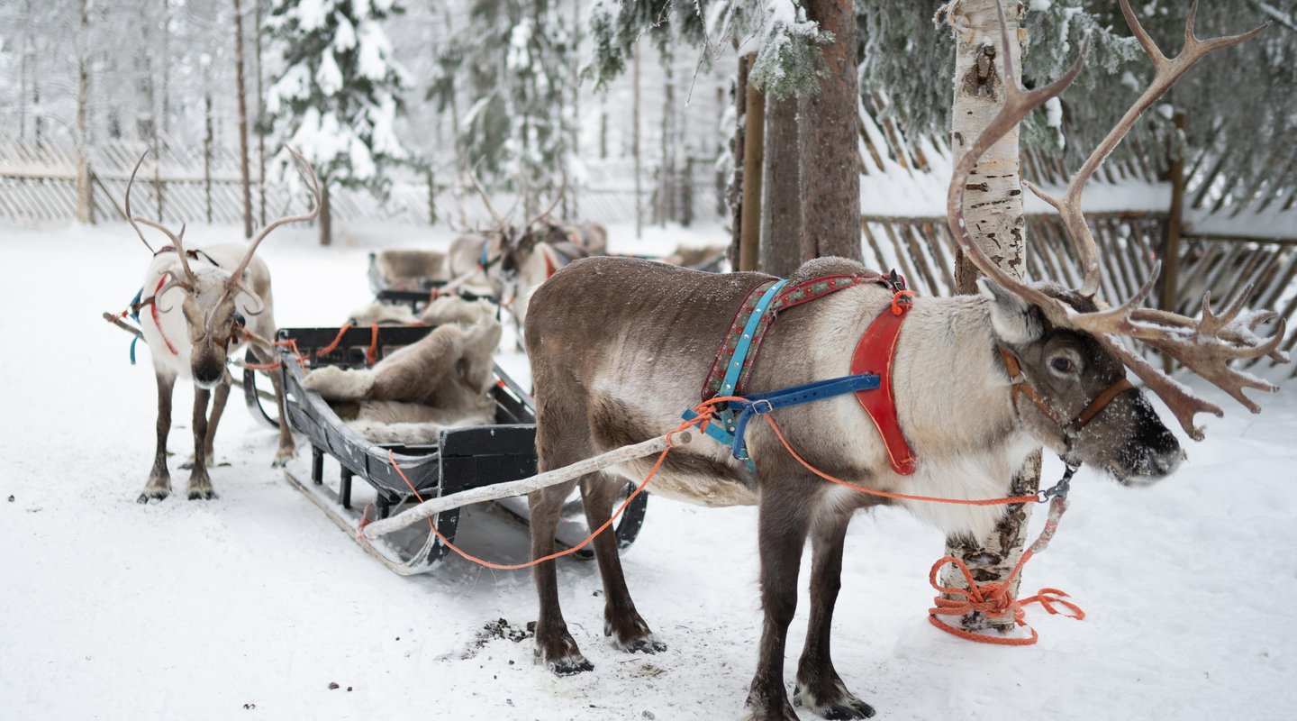 Especial Pre -Puente de Diciembre en Levi: Panorama Hotel Levi