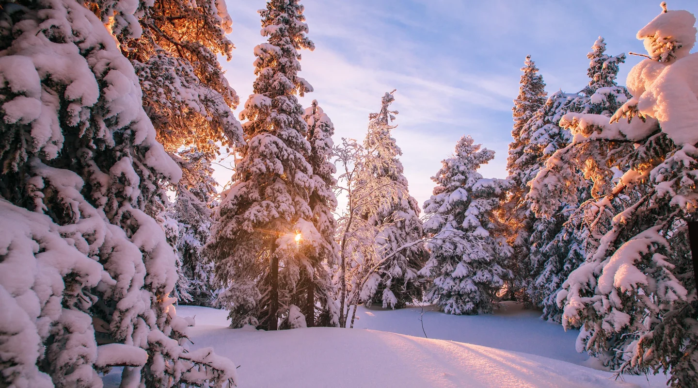 Especial Puente de Diciembre en Rovaniemi: Santa Claus Holiday Village