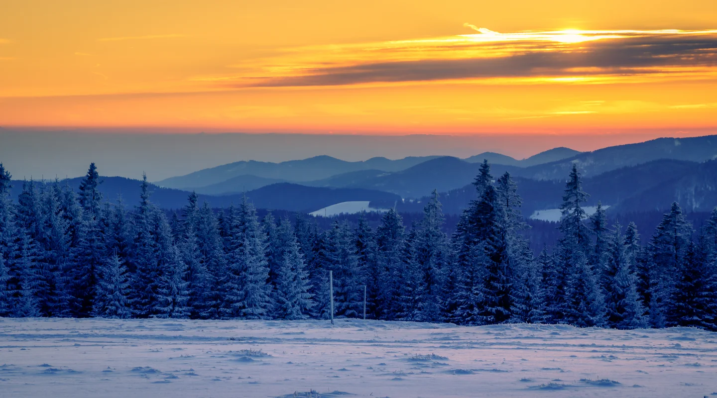 Especial Puente de Diciembre: Mercadillos Navideños en Selva Negra y Alsacia