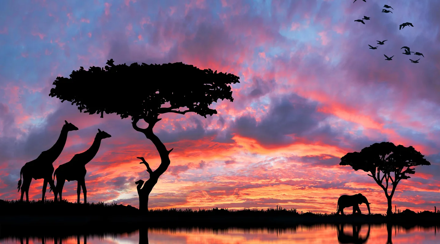 Sudáfrica: Experiencias Únicas