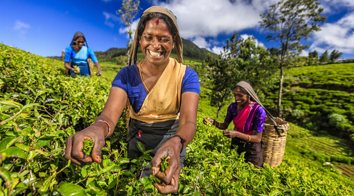 Paisajes de Sri Lanka y Maldivas