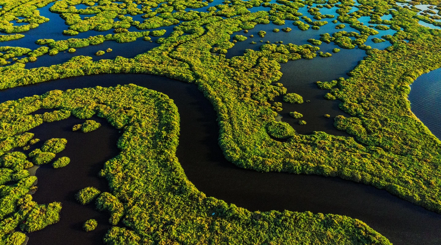 Naturaleza Pura en Brasil