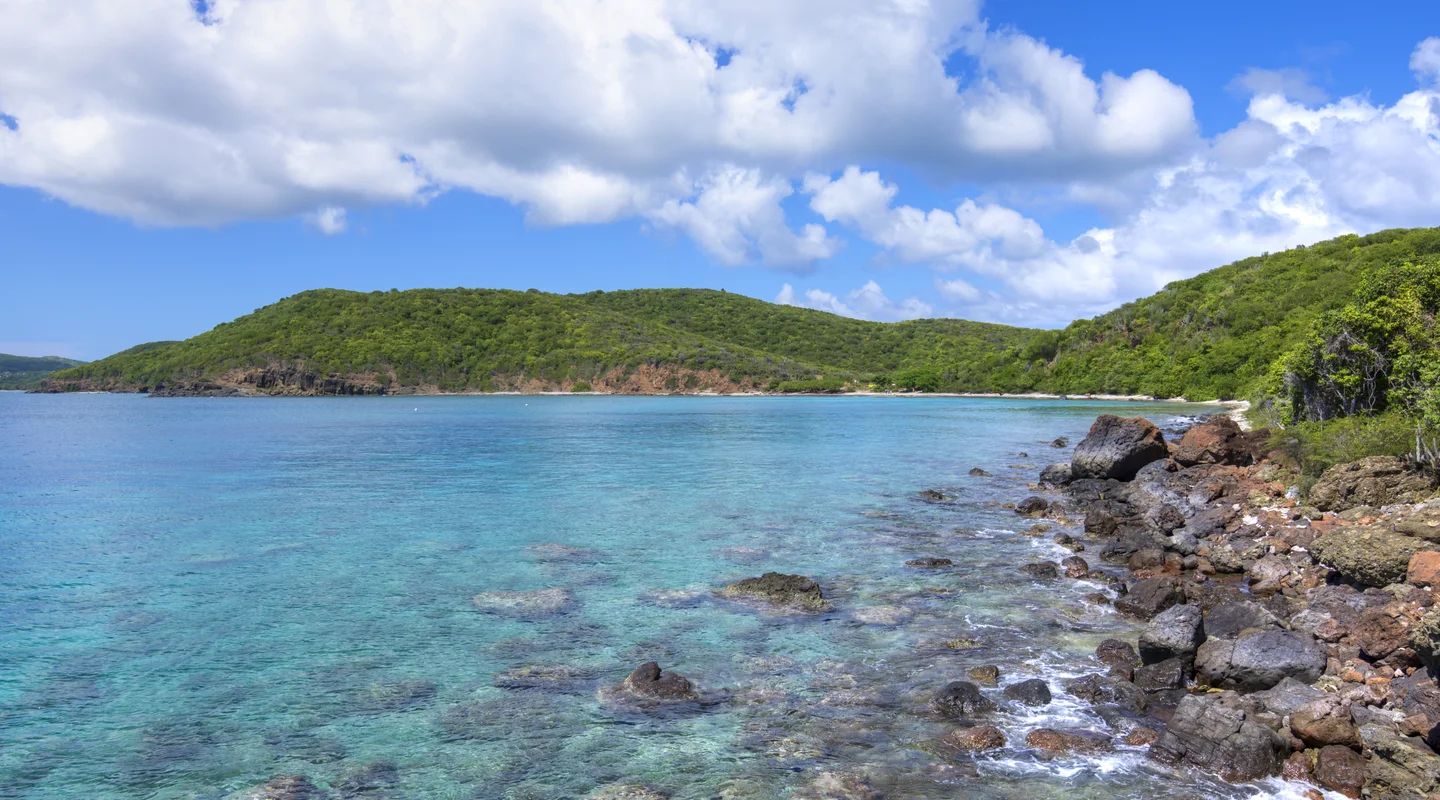 Puerto Rico Natural