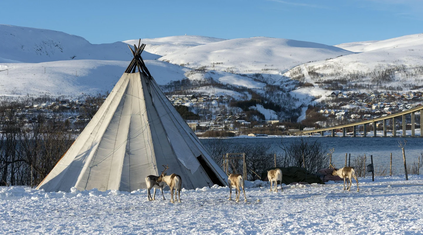 Leyendas de Invierno en Laponia