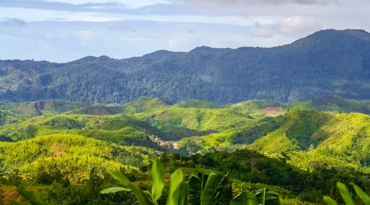 Madagascar, la Isla Continente
