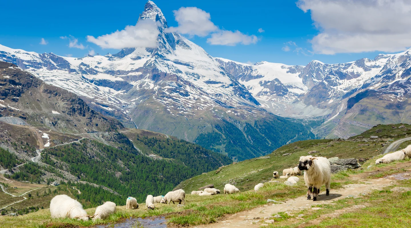 Suiza Panorámica con Glaciar Express