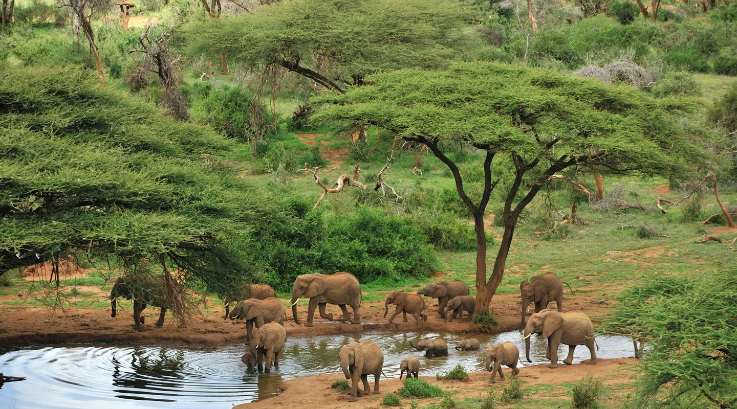 Kenia Inolvidable Especial Verano