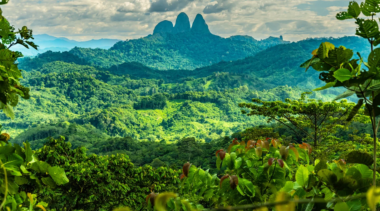 Descubriendo el Borneo Malayo