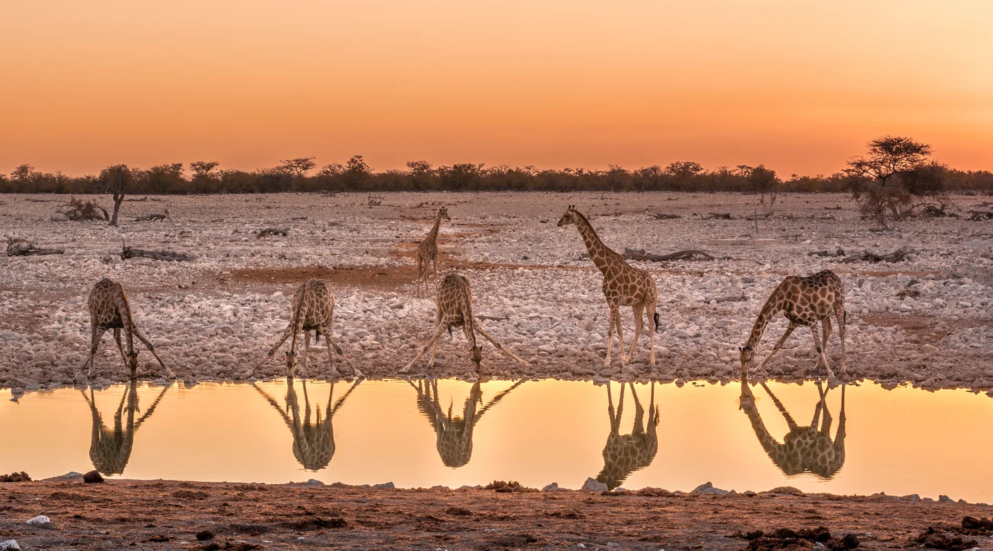 Pinceladas de Namibia