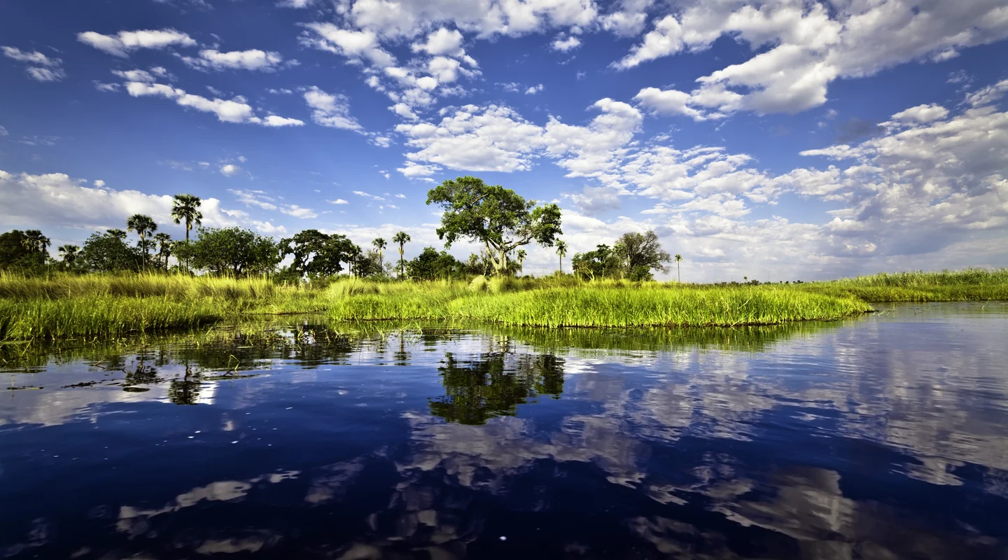 Luna de Miel en Botswana